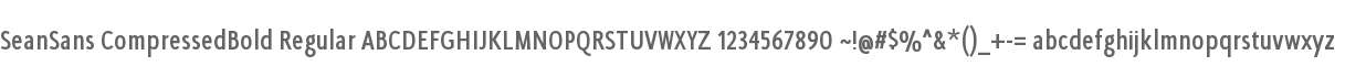 SeanSans CompressedBold Regular