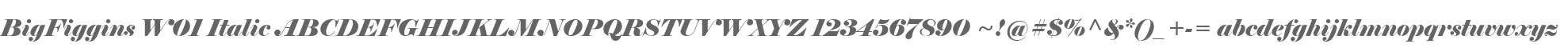 BigFiggins W01 Italic