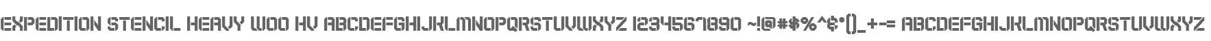 Expedition Stencil Heavy W00 Hv