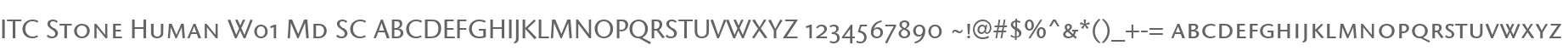 ITC Stone Human W01 Md SC