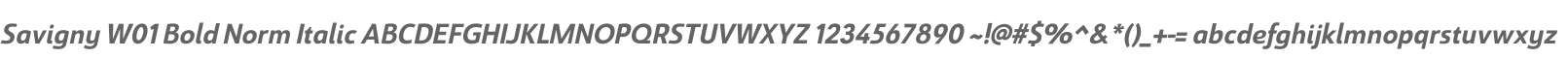 Savigny W01 Bold Norm Italic