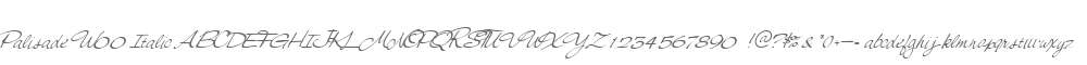 Palisade W00 Italic