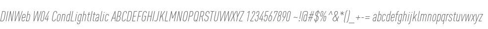 DINWeb W04 CondLightItalic