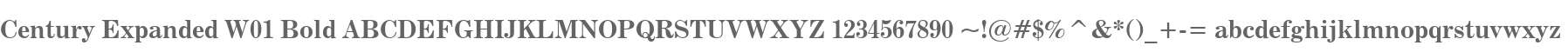Century Expanded W01 Bold