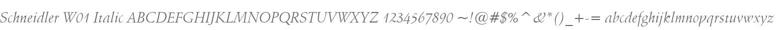 Schneidler W01 Italic