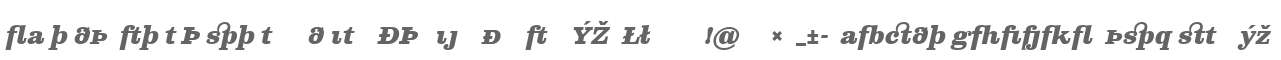 Clarendon Text Expert W90 Bd It