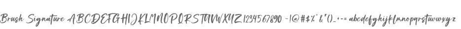 Brush Signature
