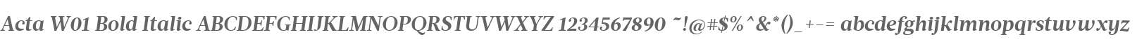 Acta W01 Bold Italic