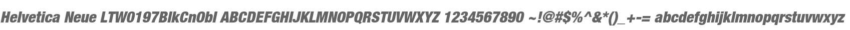 Helvetica Neue LTW0197BlkCnObl