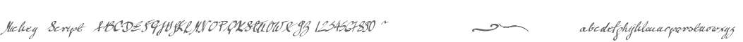 Mickey Script