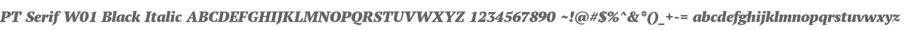 PT Serif W01 Black Italic