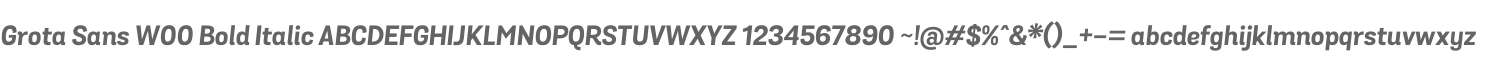 Grota Sans W00 Bold Italic