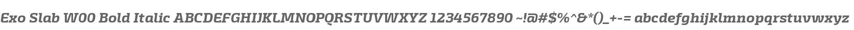 Exo Slab W00 Bold Italic