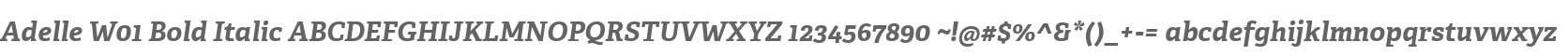 Adelle W01 Bold Italic