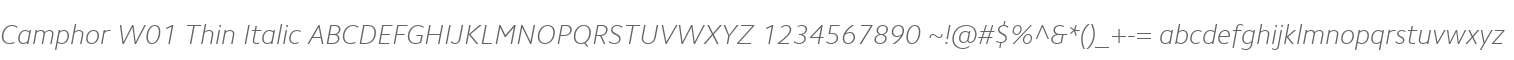 Camphor W01 Thin Italic
