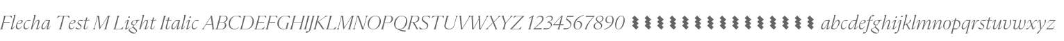 Flecha Test M Light