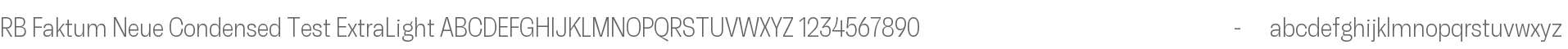 RB Faktum Neue Condensed Test ExLight