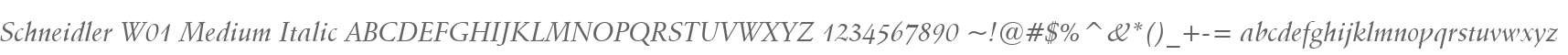Schneidler W01 Medium Italic
