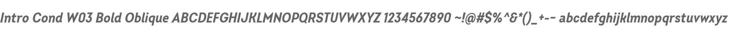 Intro Cond W03 Bold Oblique