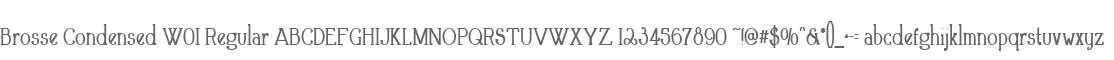 Brosse Condensed W01 Regular