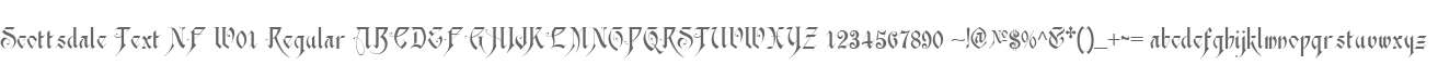 Scottsdale Text NF W01 Regular