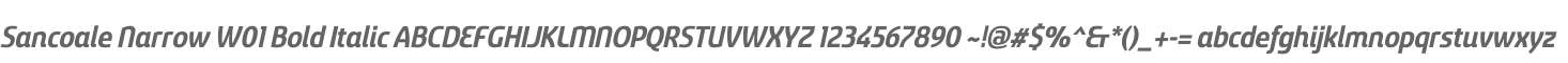 Sancoale Narrow W01 Bold Italic