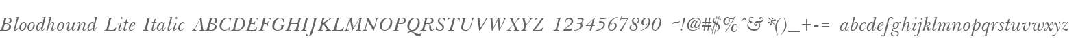 Bloodhound Lite Italic