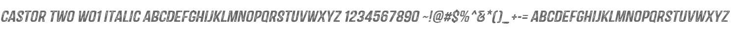 Castor Two W01 Italic