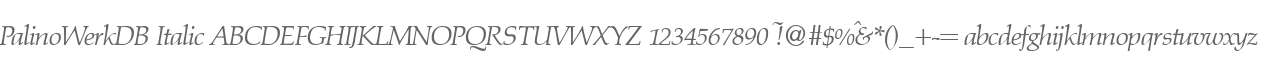 PalinoWerkDB Italic