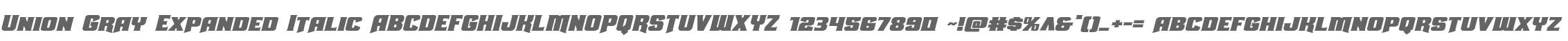 Union Gray Expanded Italic