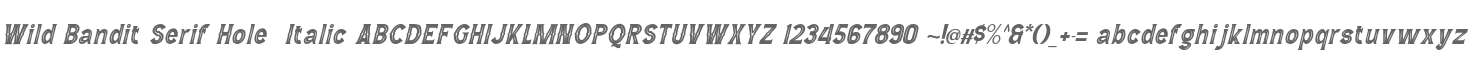 Wild Bandit Serif Hole