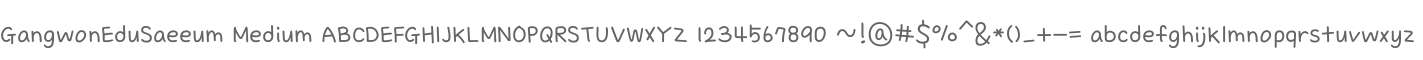 GangwonEduSaeeum Medium