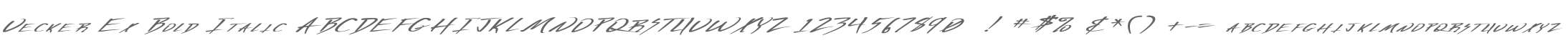 Vecker Ex Bold Italic