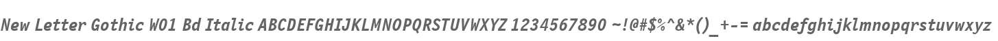 New Letter Gothic W01 Bd Italic