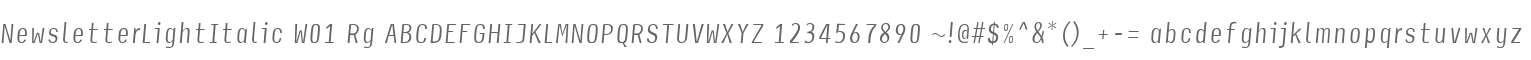 NewsletterLightItalic W01 Rg