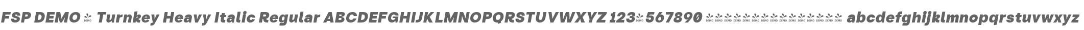 FSP DEMO - Turnkey Heavy Italic