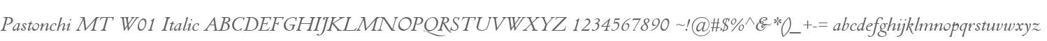 Pastonchi MT W01 Italic