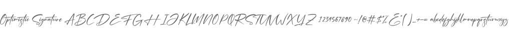 Optimistic Signature