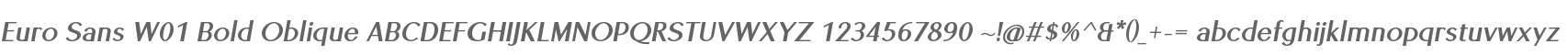 Euro Sans W01 Bold Oblique