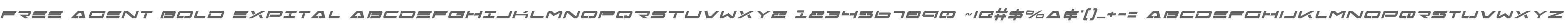 Free Agent Bold ExpItal