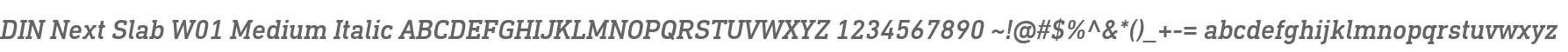 DIN Next Slab W01 Medium Italic