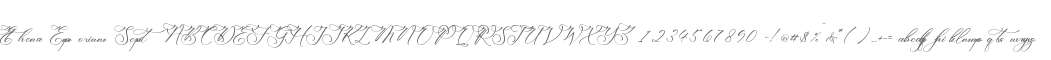 Ethena Emporium Script