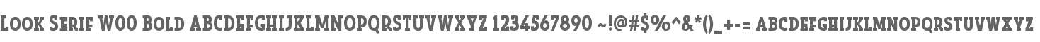 Look Serif W00 Bold