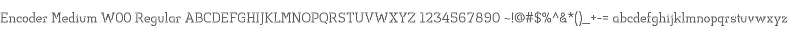 Encoder Medium W00 Regular