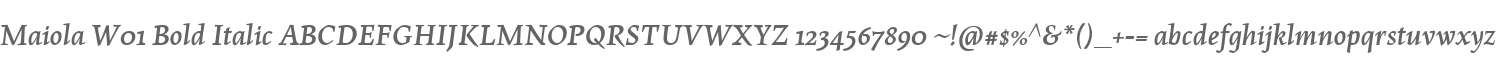 Maiola W01 Bold Italic