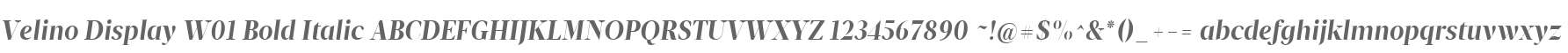 Velino Display W01 Bold Italic