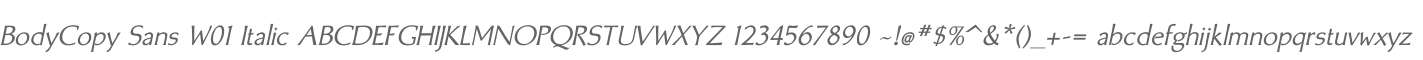 BodyCopy Sans W01 Italic