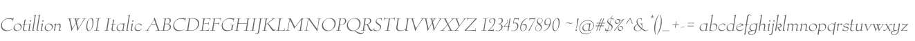 Cotillion W01 Italic