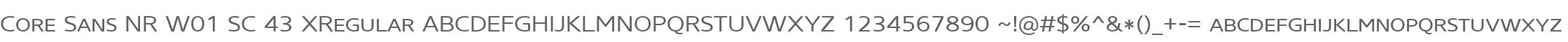 Core Sans NR W01 SC 43 XRegular