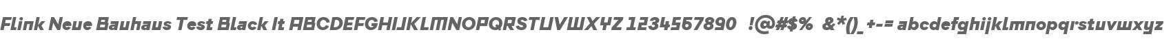 Flink Neue Bauhaus Test Black